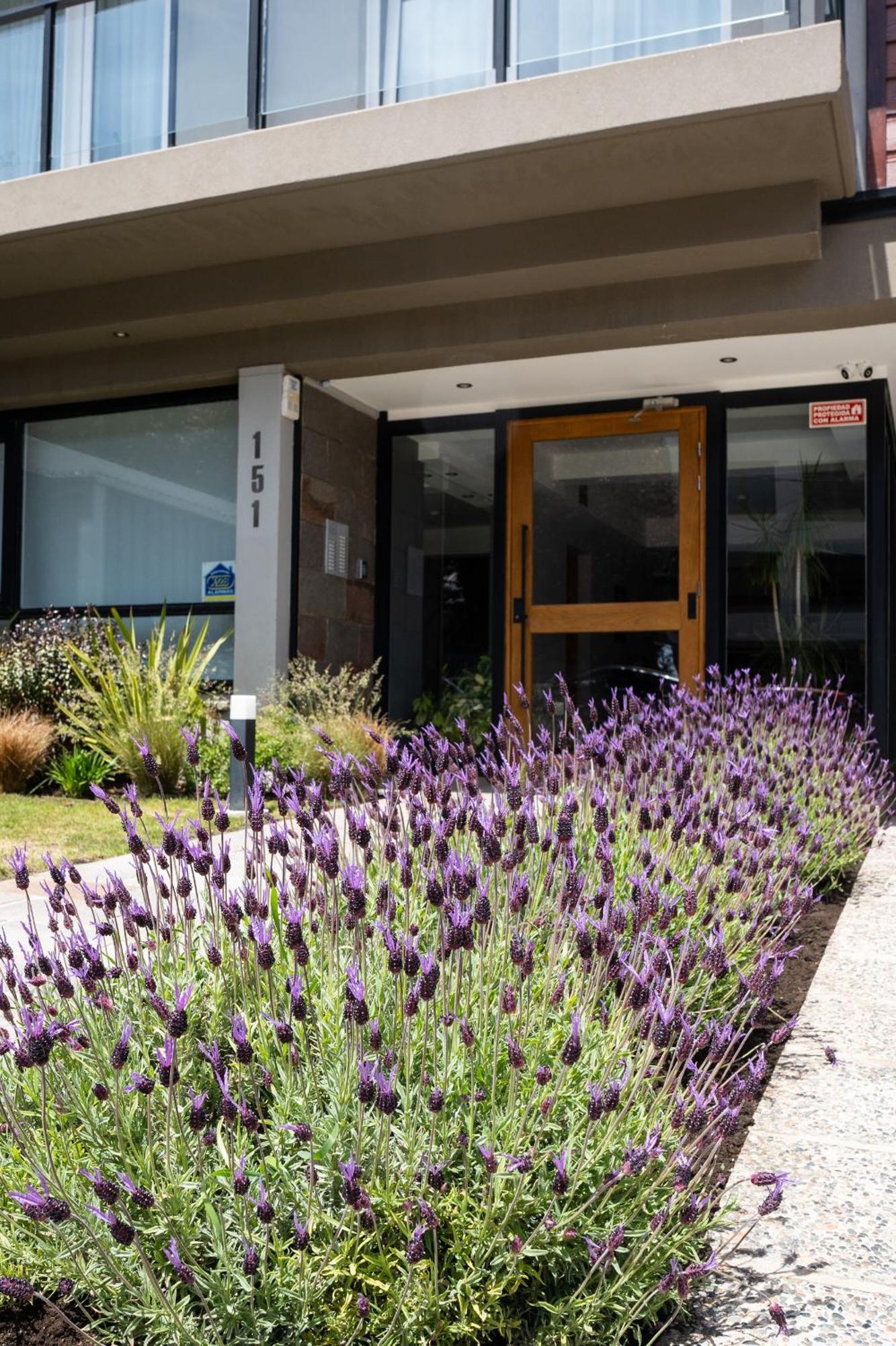 Portales De La Patagonia Apartments 圣卡洛斯-德巴里洛切 外观 照片